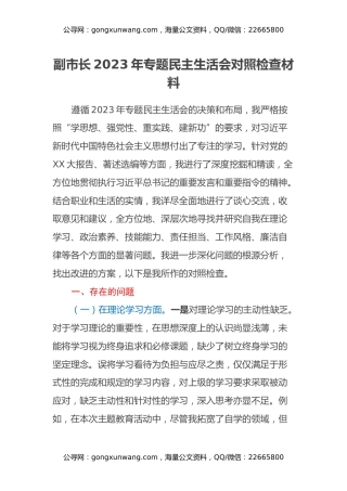 副市长2023年专题民主生活会对照检查材料