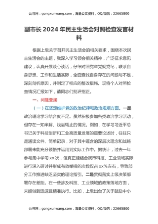 副市长2024年民主生活会对照检查发言材料