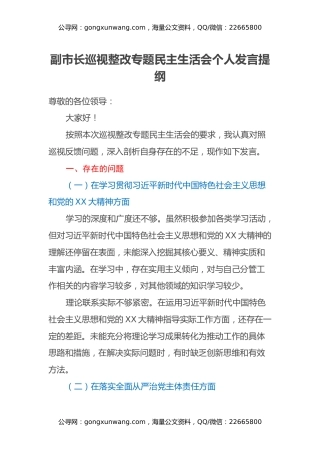 副市长巡视整改专题民主生活会个人发言提纲