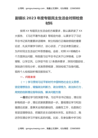副镇长2023年度专题民主生活会对照检查材料