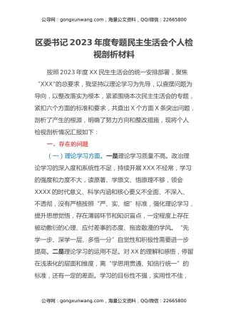 区委书记2023年度专题民主生活会个人检视剖析材料