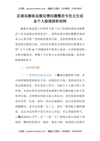 区委巡察组巡察反馈问题整改专民主生活会个人检视剖析材料