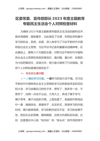 区委常委、宣传部部长2023年度主题教育专题民主生活会个人对照检查材料