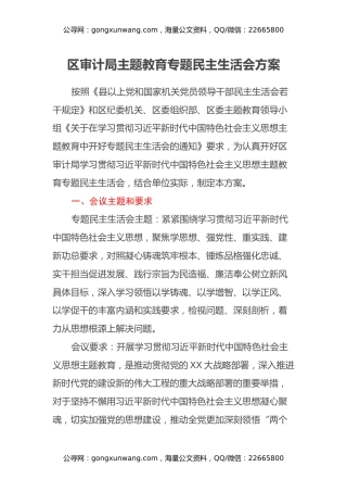 区审计局主题教育专题民主生活会方案