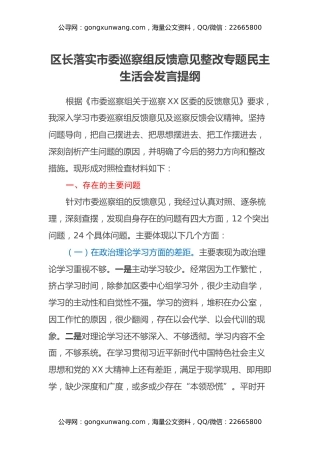 区长落实市委巡察组反馈意见整改专题民主生活会发言提纲