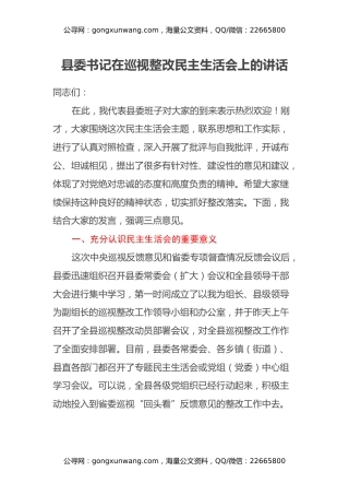 县委书记在巡视整改民主生活会上的讲话