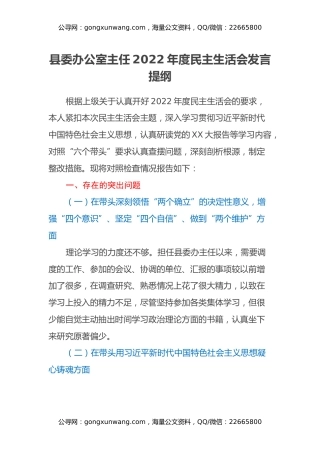 县委办公室主任2022年度民主生活会发言提纲