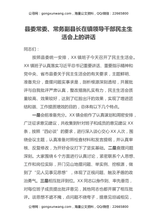 县委常委、常务副县长在镇领导干部民主生活会上的讲话