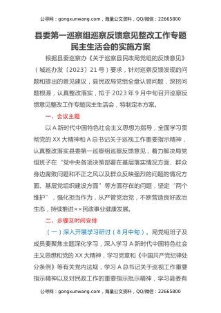县委第一巡察组巡察反馈意见整改工作专题民主生活会的实施方案 (2)