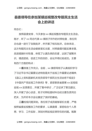 县委领导在参加某镇巡视整改专题民主生活会上的讲话