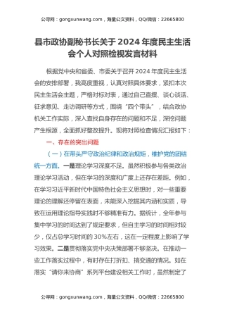 县市政协副秘书长关于2024年度民主生活会个人对照检视发言材料（四个带头+违纪行为典型案例剖析）