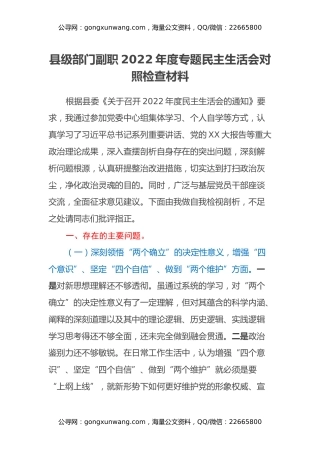 县级部门副职2022年度专题民主生活会对照检查材料