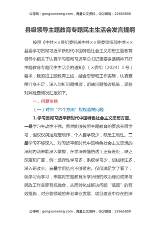 县级领导主题教育专题民主生活会发言提纲（新六个方面、政绩观、反面典型案例剖析）
