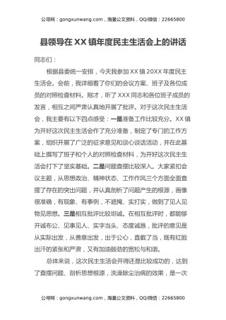 县领导在XX镇民主生活会上的讲话