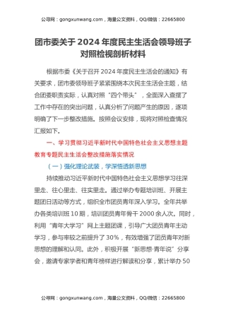 团市委关于2024年度民主生活会领导班子对照检视剖析材料（主题教育整改措施落实情况+四个带头+以典型案例举一反三剖析）