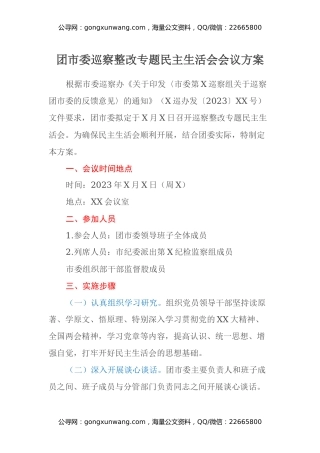 团市委巡察整改专题民主生活会会议方案