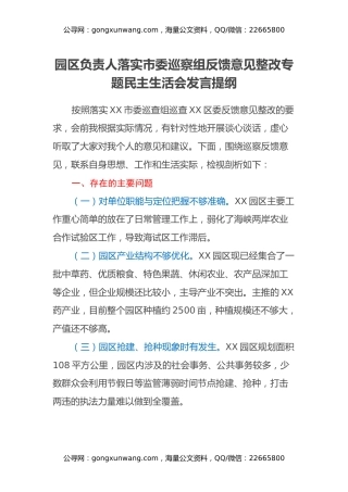 园区负责人落实市委巡察组反馈意见整改专题民主生活会发言提纲