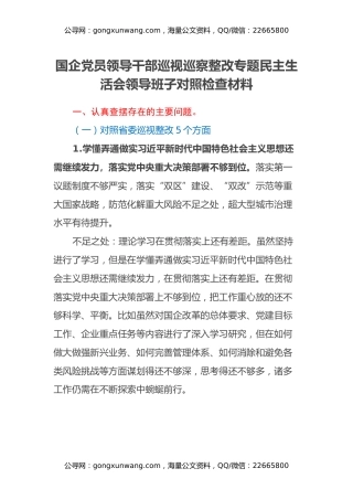 国企党员领导干部巡视巡察整改专题民主生活会领导班子对照检查材料
