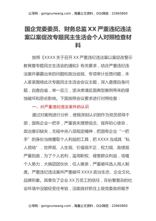 国企党委委员、财务总监XX严重违纪违法案以案促改专题民主生活会个人对照检查材料
