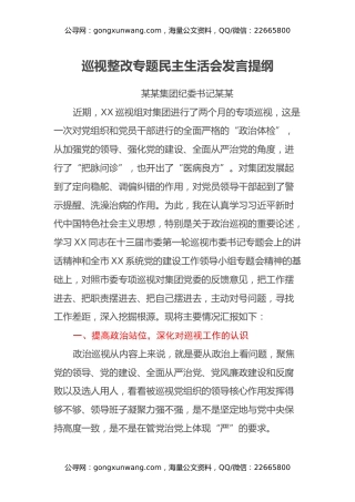 国企纪委书记巡视整改专题民主生活会个人发言提纲