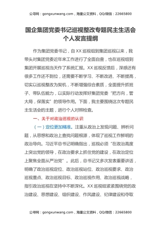国企集团党委书记巡视整改专题民主生活会个人发言提纲