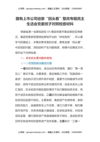 国有上市公司巡察回头看整改专题民主生活会党委班子对照检查材料