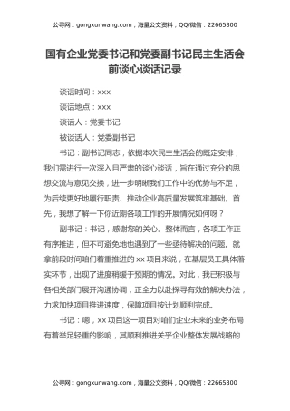 国有企业党委书记和党委副书记民主生活会前谈心谈话记录