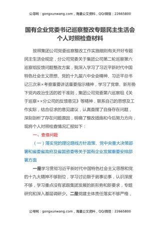 国有企业党委书记巡察整改专题民主生活会个人对照检查材料