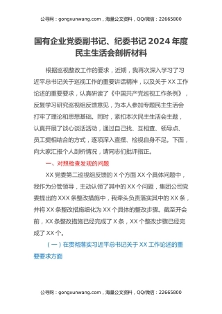 国有企业党委副书记、纪委书记2024年度民主生活会剖析材料