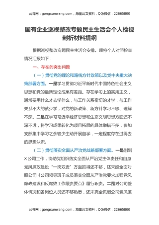 国有企业巡视整改专题民主生活会个人检视剖析材料提纲