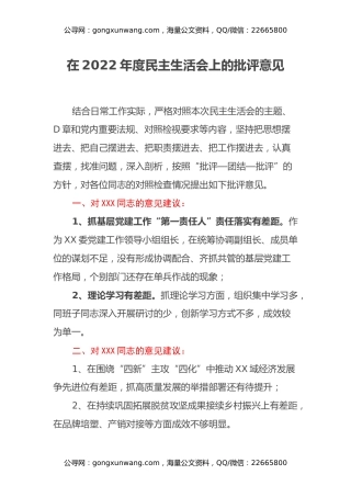 在2022年度民主生活会上的批评意见