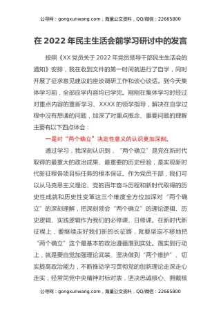 在2022年民主生活会前学习研讨中的发言