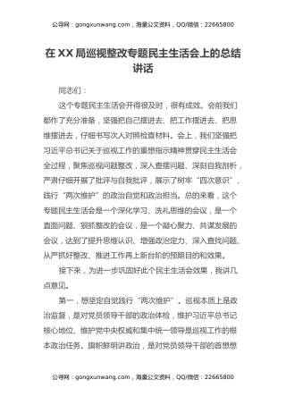 在XX局巡视整改专题民主生活会上的总结讲话