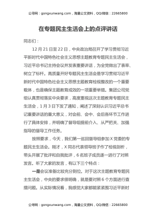 在专题民主生活会上的点评讲话