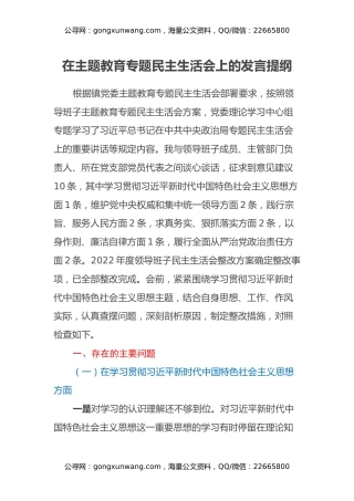 在主题教育专题民主生活会上的发言提纲（六个方面+剖析班子典型反面案例+政绩观）