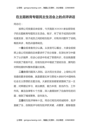 在主题教育专题民主生活会上的点评讲话