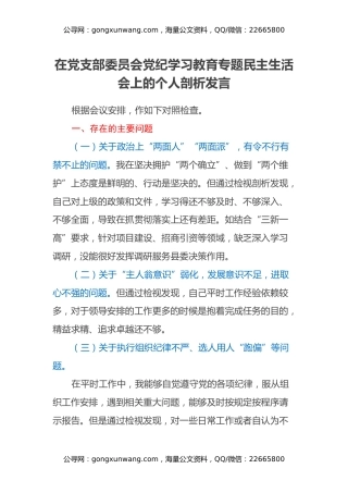 在党支部委员会党纪学习教育专题民主生活会上的个人剖析发言