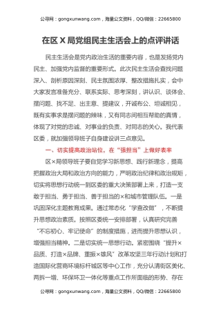 在区X局党组民主生活会上的点评讲话