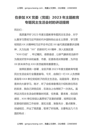 在参加XX党委（党组）2023年主题教育专题民主生活会时的讲话提纲