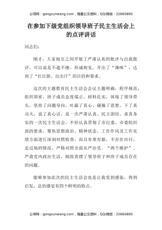 在参加下级党组织领导班子民主生活会上的点评讲话