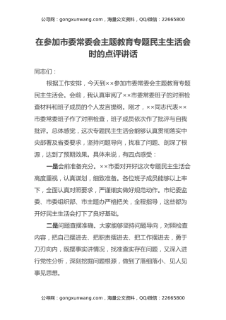 在参加市委常委会主题教育专题民主生活会时的点评讲话