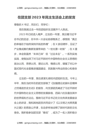 在团支部2023年民主生活会上的发言