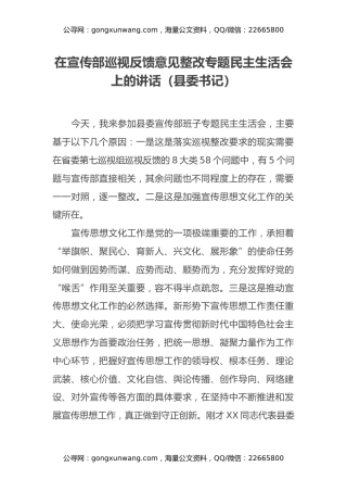 在宣传部巡视反馈意见整改专题民主生活会上的讲话（县委书记）