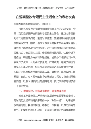 在巡察整改专题民主生活会上的表态发言
