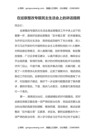 在巡察整改专题民主生活会上的讲话提纲