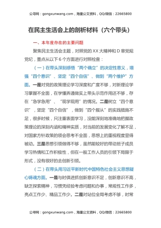 在民主生活会上的剖析材料（六个带头）