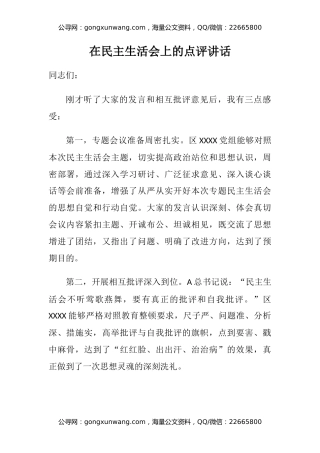 在民主生活会上的点评讲话（2）