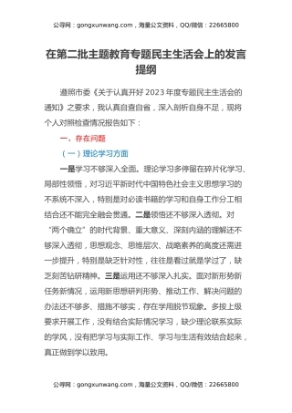 在第二批主题教育专题民主生活会上的发言提纲
