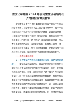 城投公司党委2024年度民主生活会领导班子对照检视发言材料（四个带头+典型案例剖析与反思）