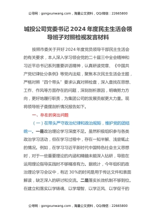 城投公司党委书记2024年度民主生活会领导班子对照检视发言材料（四个带头+违纪行为典型案例剖析）